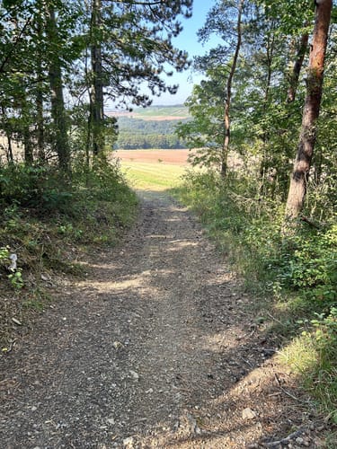 Rundwanderweg 1250 Jahre Uissigheim