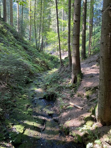 Lochbachpfad (Extratour)