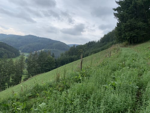 Panoramaweg Mühlenbach (Kleine Runde)