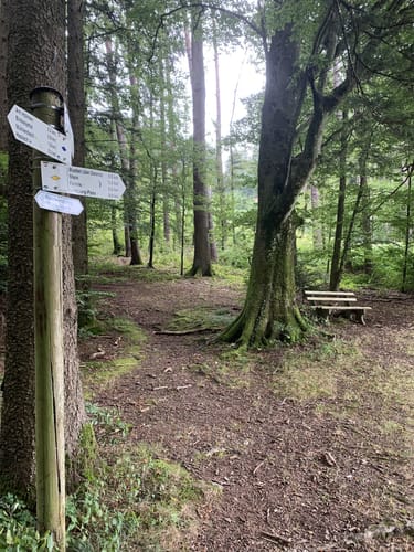 Panoramaweg Mühlenbach (Kleine Runde)
