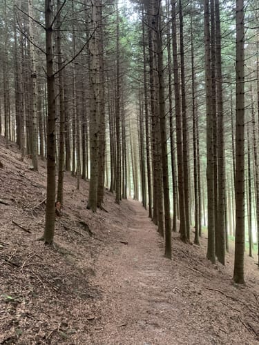 Panoramaweg Mühlenbach (Kleine Runde)