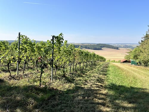 Rundwanderweg 1250 Jahre Uissigheim