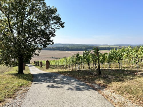 Rundwanderweg 1250 Jahre Uissigheim