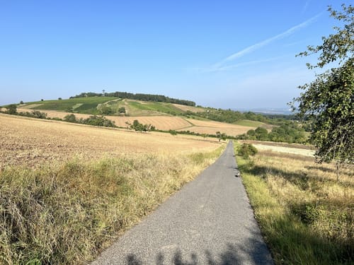 Rundwanderweg 1250 Jahre Uissigheim