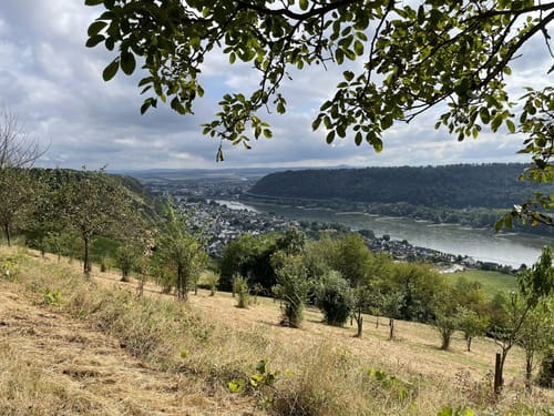 Leutesdorf - Weinberge Hüllenberg