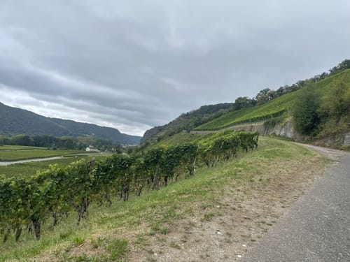 Leutesdorf - Weinberge Hüllenberg