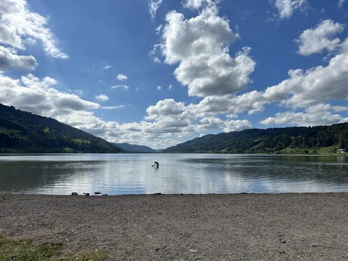 Vom Alpsee zur Siedelalpe