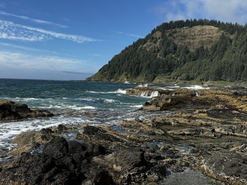 Best hikes in siuslaw national forest hotsell