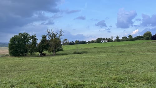 Eine Spur Erholsamer (Welschbillig-Hofweiler 9)