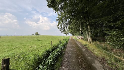 Eine Spur Erholsamer (Welschbillig-Hofweiler 9)