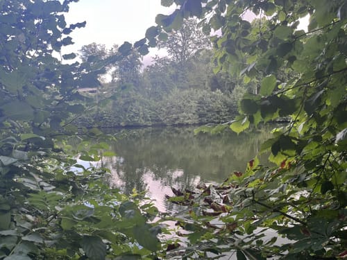 Eulenkopf Rundweg 2