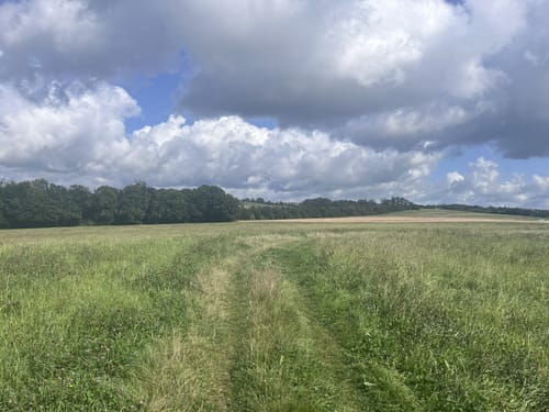 Eulenkopf Rundweg 2