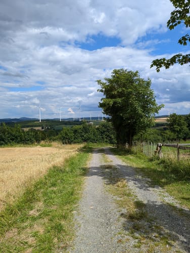 Nieheim: Wanderweg Klunsberg