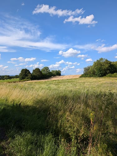 Nieheim: Wanderweg Klunsberg