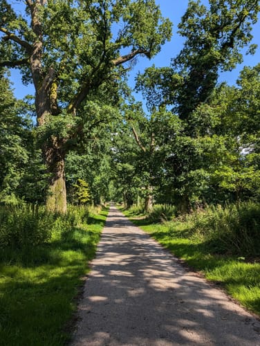 Nieheim: Wanderweg Klunsberg