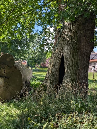 Nieheim: Wanderweg Klunsberg