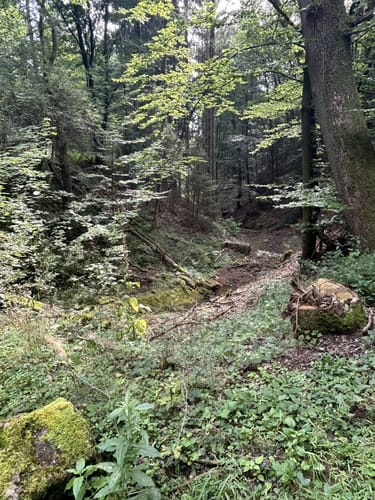 Von Binsfeld entlang der Militärbasis