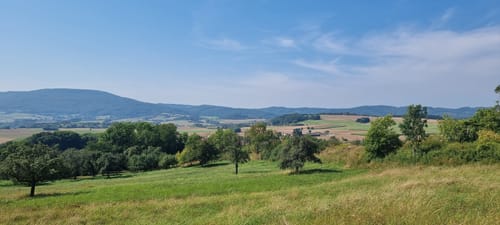 Söder Wald P7 (Premiumwanderweg)