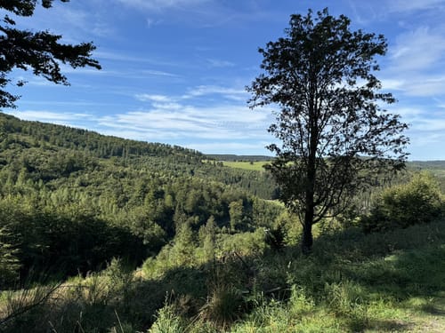 Von Züschen auf den Mythen- und Sagenweg