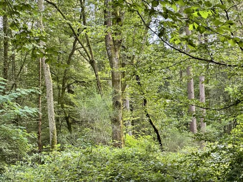 Gänshorn-Tour