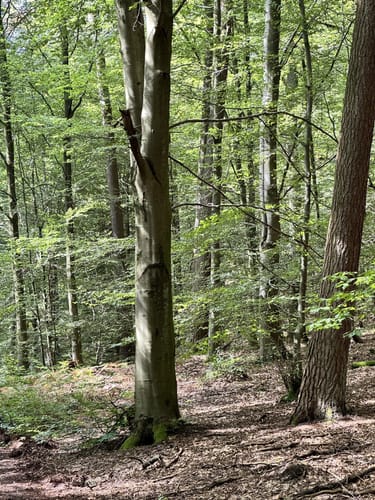 Gänshorn-Tour