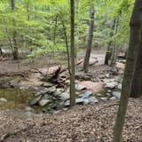 Double Rock Park Trail, Maryland - 1,093 Reviews, Map | AllTrails