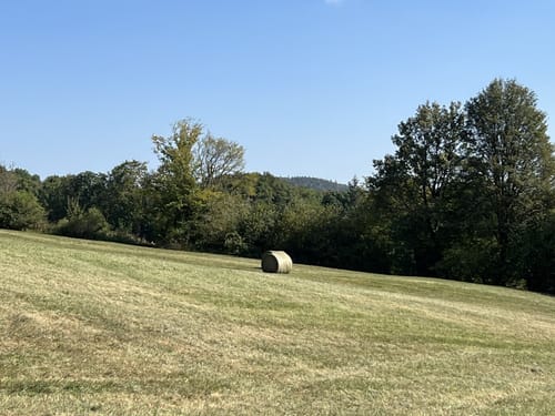 Kuppenweg (Extratour)