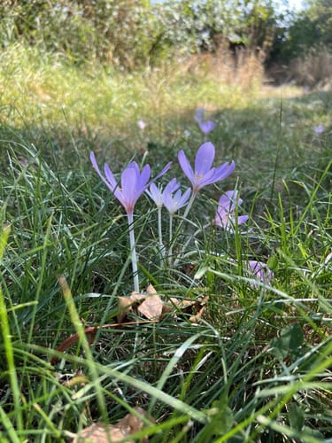 Kuppenweg (Extratour)