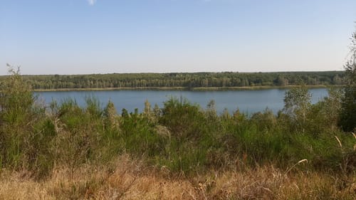 Goitzsche See Runde
