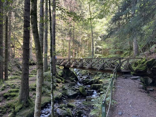 Rundweg Hinterzarten - Ravennaschlucht