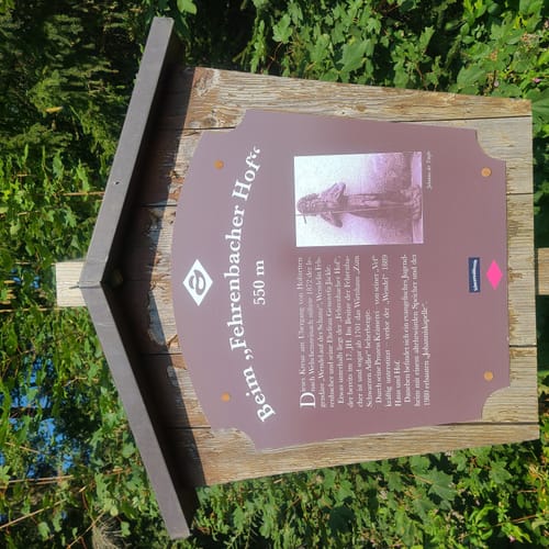 MTB: Rund ums Welschensteinacher Tal