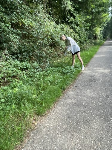 Teufelssteine Rundweg von Heiden
