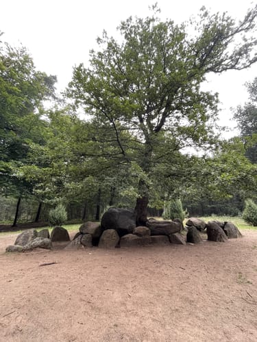 Teufelssteine Rundweg von Heiden