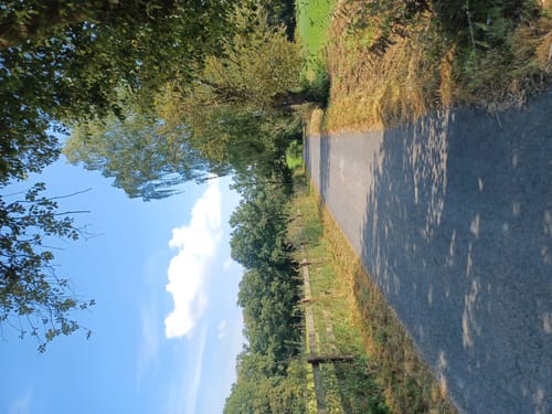 Niederkaufungen: Rundweg 25