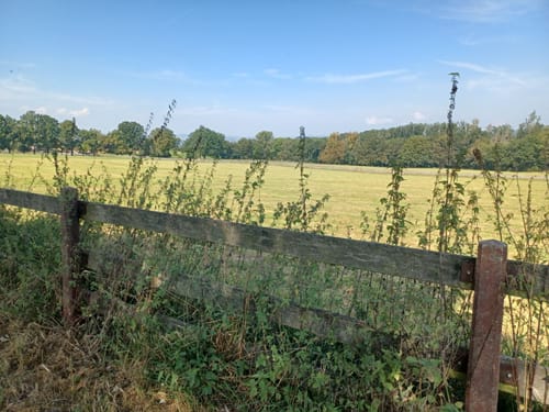 Niederkaufungen: Rundweg 25