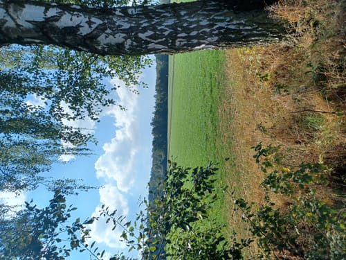 Niederkaufungen: Rundweg 25