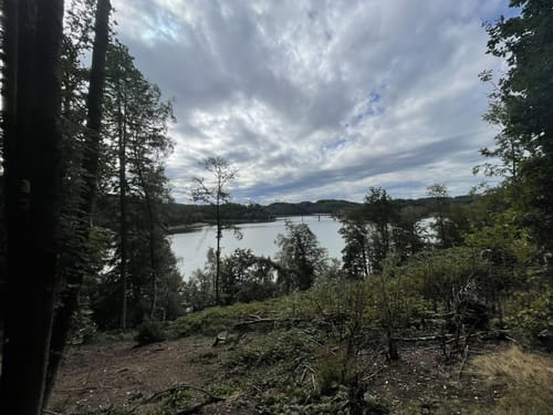 Wuppertalsperre – Honsberg (Hunderunde)