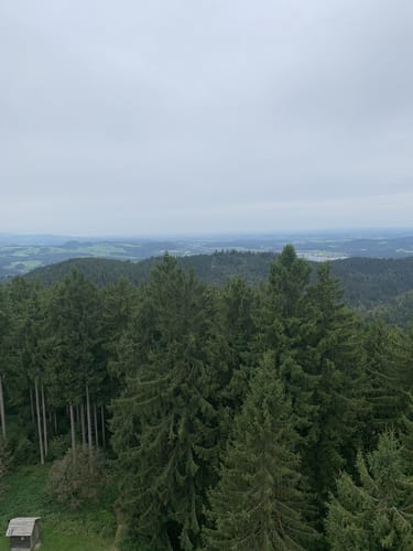 Von Bolsternang zum Schwarzen Grat
