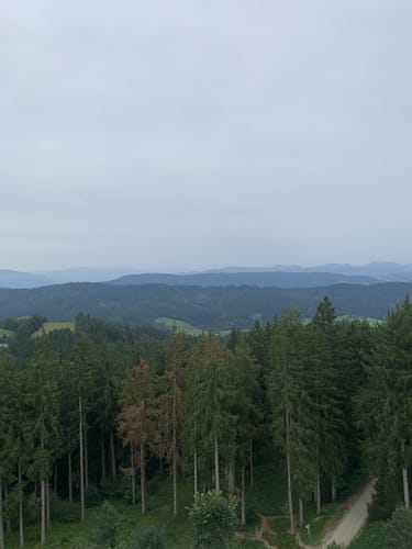 Von Bolsternang zum Schwarzen Grat