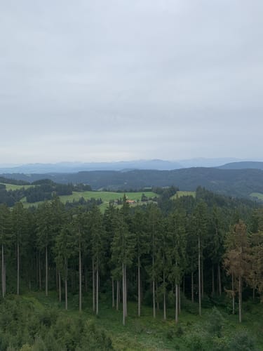 Von Bolsternang zum Schwarzen Grat