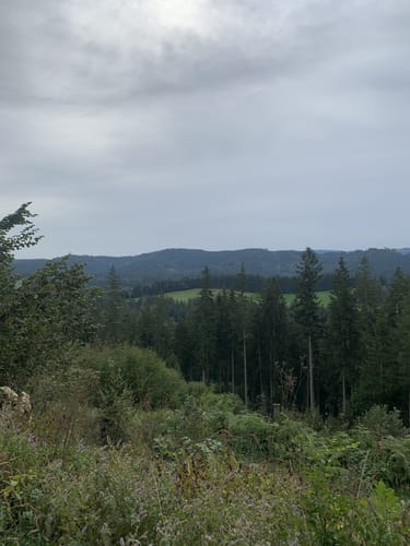 Von Bolsternang zum Schwarzen Grat