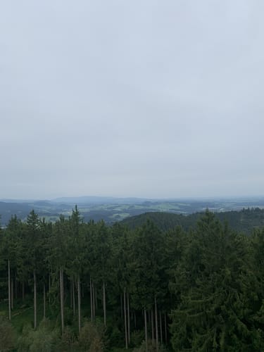 Von Bolsternang zum Schwarzen Grat