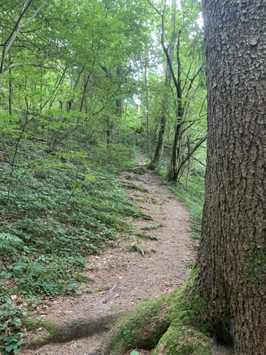 Von Bolsternang zum Schwarzen Grat