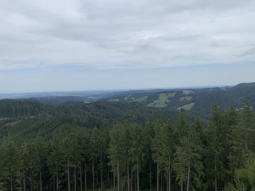 Von Bolsternang zum Schwarzen Grat