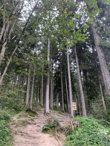 Von Bolsternang zum Schwarzen Grat