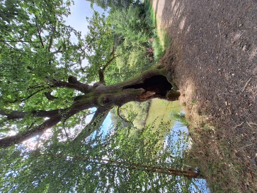 Drei-Seen-Tour Freiensteinau (Premiumwanderweg)