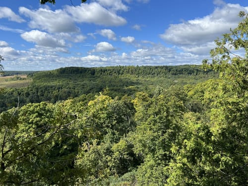 10 Best forest trails in Milton | AllTrails