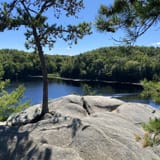Long pond woods trail sales