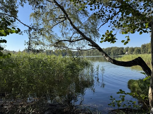 Summter See - Tegeler Fließtal