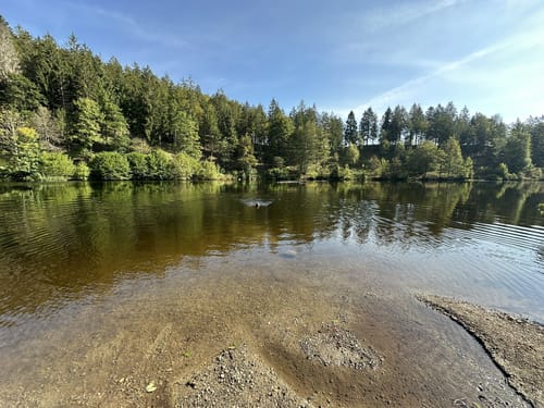 Nonnenmattweiher ab Kreuzweg